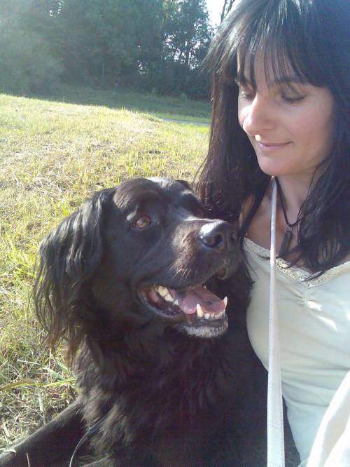 macht ihr hund was er will