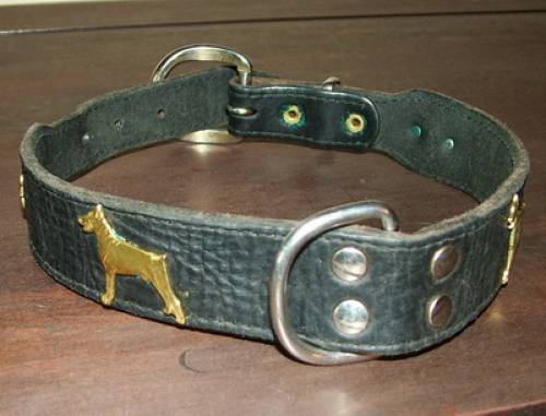 dobermann lederhalsband