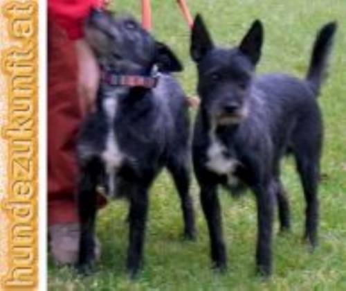 sancho und pancho
