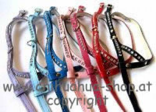 de lux leder brustgeschirr gr in versch farben