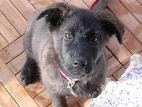 guten platz f�r maya